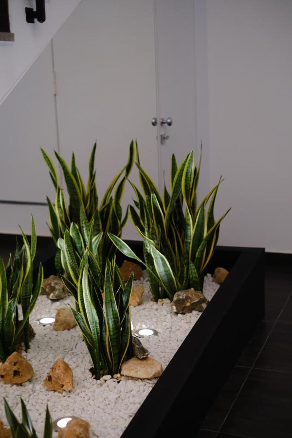 Domea Superior Rooms Bed And Breakfast Reggio di Calabria Exterior foto